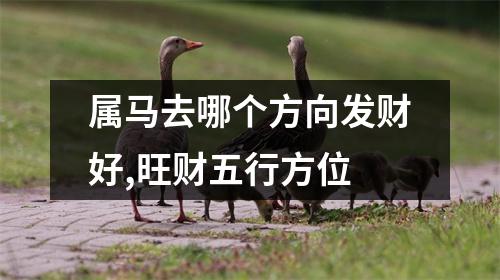 属马去哪个方向发财好,旺财五行方位