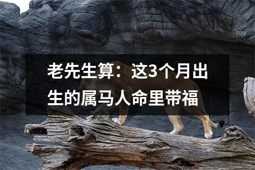 老先生算：这3个月出生的属马人命里带福