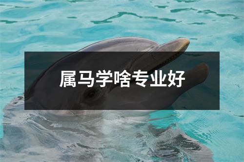 <h3>属马学啥专业好