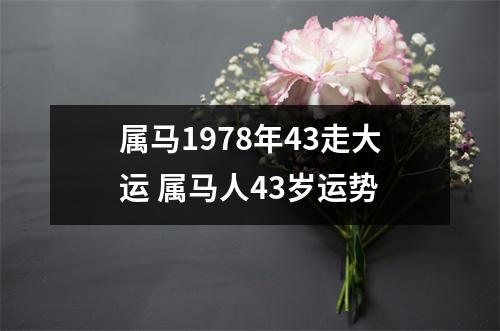 属马1978年43走大运属马人43岁运势