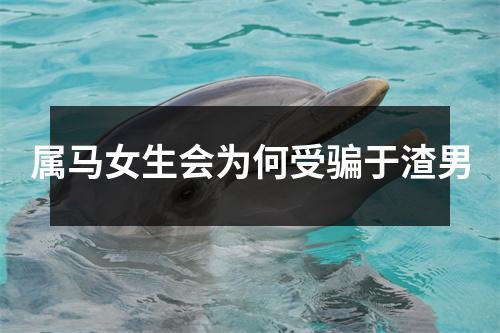 属马女生会为何受骗于渣男