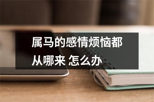 属马的感情烦恼都从哪来怎么办