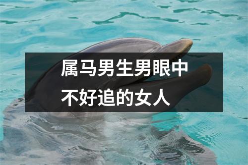 属马男生男眼中不好追的女人