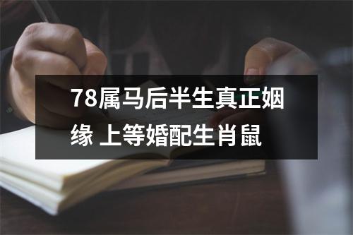 78属马后半生真正姻缘上等婚配生肖鼠