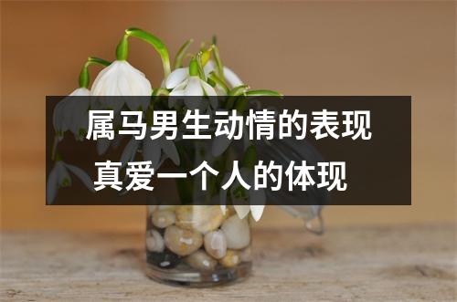 属马男生动情的表现真爱一个人的体现