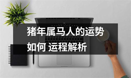 猪年属马人的运势如何运程解析