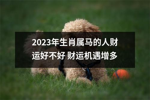 2025年生肖属马的人财运好不好财运机遇增多
