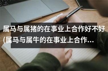 属马与属猪的在事业上合作好不好(属马与属牛的在事业上合作好不好)
