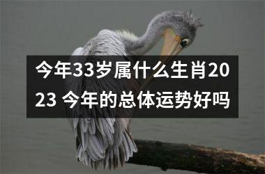 今年33岁属什么生肖2025 今年的总体运势好吗