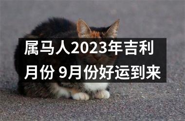 属马人2025年吉利月份 9月份好运到来