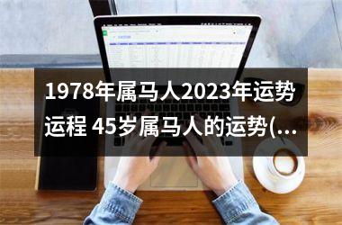 1978年属马人2023年运势运程 45岁属马人的运势(1978年属马男人2024年运势及运程)