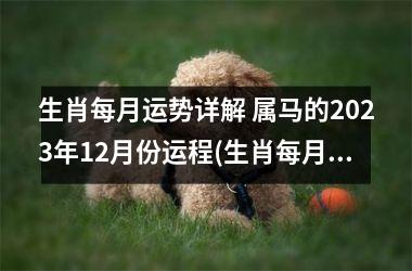 生肖每月运势详解 属马的2023年12月份运程(生肖每月运势2023年运程)