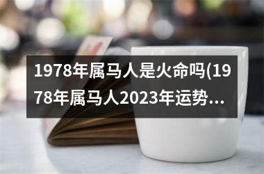 1978年属马人是火命吗(1978年属马人2023年运势运程)