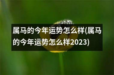 属马的今年运势怎么样(属马的今年运势怎么样2023)