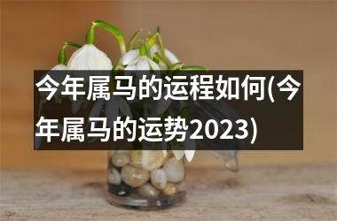 今年属马的运程如何(今年属马的运势2023)