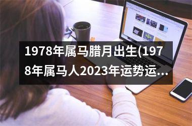 1978年属马腊月出生(1978年属马人2023年运势运程)