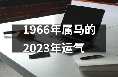 1966年属马的2023年运气