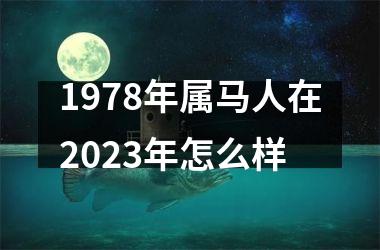 1978年属马人在2023年怎么样