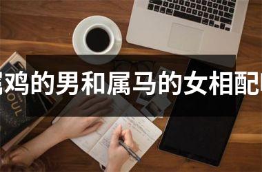 属鸡的男和属马的女相配吗