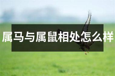 <h3>属马与属鼠相处怎么样