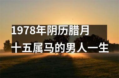 1978年阴历腊月十五属马的男人一生