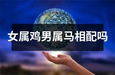 女属鸡男属马相配吗