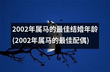 2002年属马的佳结婚年龄(2002年属马的佳配偶)