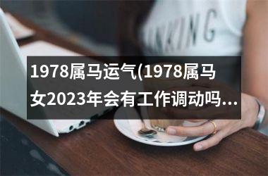 1978属马运气(1978属马女2023年会有工作调动吗)