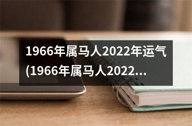 1966年属马人2025年运气(1966年属马人2025年运势男性)