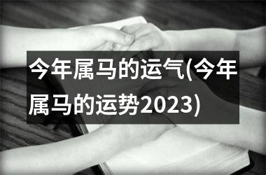 今年属马的运气(今年属马的运势2023)