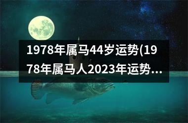 1978年属马44岁运势(1978年属马人2023年运势运程)