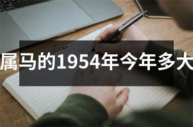 属马的1954年今年多大