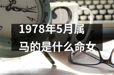 1978年5月属马的是什么命女