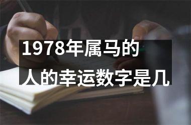 1978年属马的人的幸运数字是几