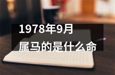 1978年9月属马的是什么命