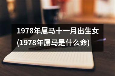 1978年属马十一月出生女(1978年属马是什么命)