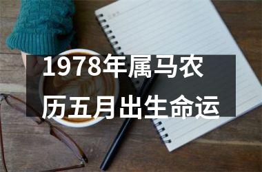 1978年属马农历五月出生命运