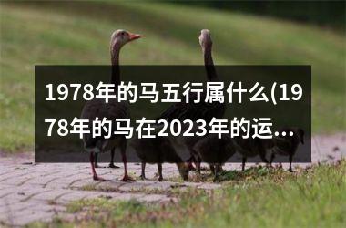 1978年的马五行属什么(1978年的马在2023年的运势怎么样)