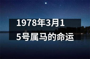 1978年3月15号属马的命运