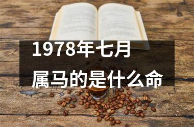 1978年七月属马的是什么命