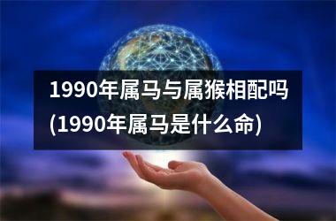 <h3>1990年属马与属猴相配吗(1990年属马是什么命)