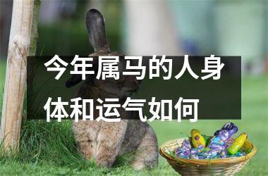 今年属马的人身体和运气如何