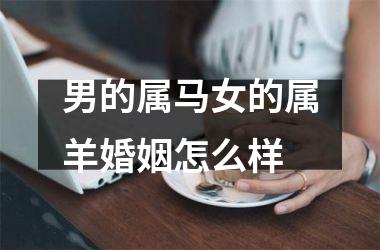 男的属马女的属羊婚姻怎么样