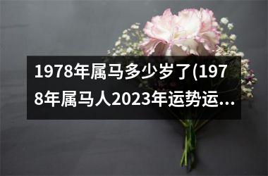 1978年属马多少岁了(1978年属马人2023年运势运程)