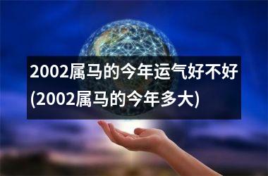 2002属马的今年运气好不好(2002属马的今年多大)