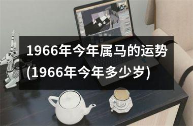 1966年今年属马的运势(1966年今年多少岁)