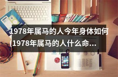 1978年属马的人今年身体如何(1978年属马的人什么命)