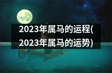 2023年属马的运程(2023年属马的运势)