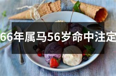 66年属马56岁命中注定