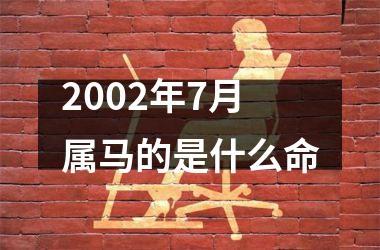 2002年7月属马的是什么命